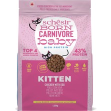 Braventa Collection Born Carnivore Baby Tavuklu ve Yumurtalı Yavru Kedi Maması 1,25KG