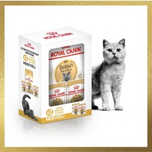 Braventa Collection Royal Canin Adult Yetişkin British Shorthair Kedi Maması 2 kg + Royal Canin Yetişkin British Shorhai
