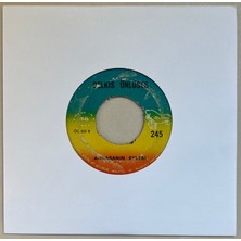 Netfon Plak Belkıs Ünlüses Lambaya Püf De - Ankaranın Evleri  45 Lik Plak (Orijinal Dönem Baskı)