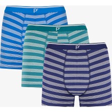 Penti Erkek Renkli Blue Çizgili Çoklu Boxer