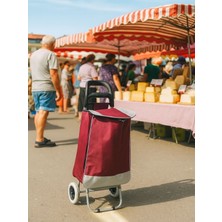 PremiumPort Katlanabilir Su Geçirmez Alüminyum Pazar Arabası, Renkli Tekerlekli