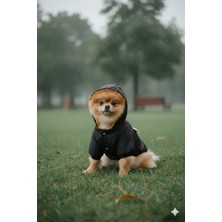 Patilemece Siyah Su Itici Kumaş Içi Sarı Polar Kedi Köpek Montu