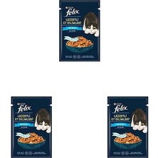 Braventa Collection Felix Lezzetli Dilimler Tonlu 80 gr 3lü Paket