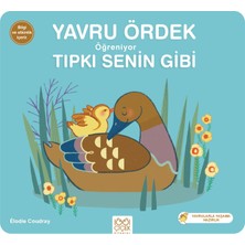 Karınca Yayınları Yavru Ördek Öğreniyor Tıpkı Senin Gibi