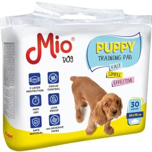 Braventa Collection Evcil Hayvan , Tuvalet Eğitim Pedi 60 x 90 cm