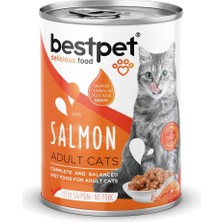 Braventa Collection Bestpet Yetişkin Kediler Için, Taze Somon Parça Etli ve Soslu Yaş Mama, 400 G