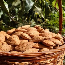 Ata Tohumu Sert Kabuklu Taş Badem 5 kg