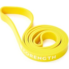 Feyza Design Çok Fonksiyonlu 25 kg Direnç Bandı, Güç ve Kondisyon Artırıcı