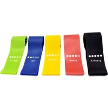 Feyza Design Esneklik ve Güç Artırıcı 5'li Egzersiz Direnç Bandı Seti