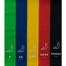 Feyza Design 5'li Çok Seviyeli Direnç Lastiği Seti ile Esneklik ve Güç Kazanın