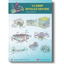 12.sınıf Biyoloji Defteri