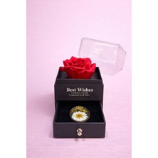 Best Wishes Sonsuz Gül ve Gerçek Papatyalı Kolye Hediye Kutusu – Çekmeceli Özel Tasarım
