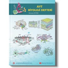 Ayt(11+12) Biyoloji Defteri