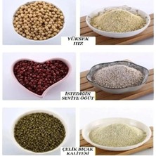 Eco Lounge Elektrikli Kahve Keten Tohumu Baharat Öğütücü 2 Bıçak 150W