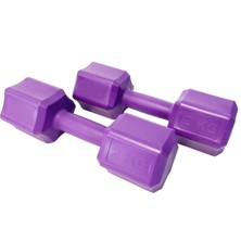 Feyza Design 2 kg Mor Dambıl Seti, 4 kg Toplam Ağırlık, Sağlam ve Şık Tasarım