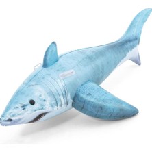 Karahanbey Gerçek Köpekbalığı Hayvan Binici - 41405 (Lisinya)