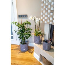 Karahanbey Kulplu Yuvarlak Düzenleyici Çok Amaçlı Kolay Taşınabilen Organizer Keçe Sepet (Mega) 03648 ( Lisiny