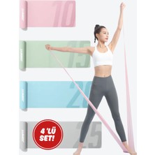 PremiumPort Çoklu Direnç Bandı Seti, Esneme, Rehabilitasyon ve Evde Fitness Için