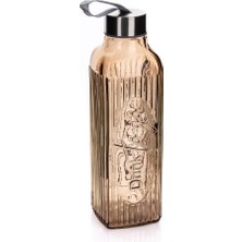 Feyza Design Paslanmaz Metal Kapaklı Drink 650 cc Termos, Sağlıklı ve Şık Tasarım