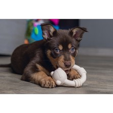 Pazarcan Sumo Mını Dental Oyuncak Pembe 9,5X10,5 cm