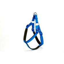 Pazarcan Köpek Bel Tasması 95CM Xx-Large