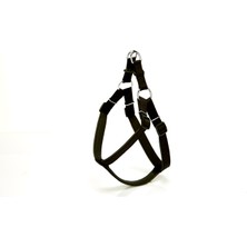 Pazarcan Köpek Bel Tasması 95CM Xx-Large Siyah