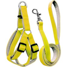 Pazarcan Gezdirme Kayışlı Dokuma Köpek Göğüs Tasma Seti 40*60-110 cm Sarı