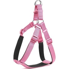 Pazarcan Köpek Göğüs Tasması 35CM Xsmall