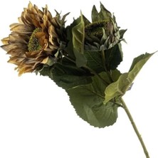 Mikasa Moor Sunflower Kahve Sarı Yapay Çiçek 60CM