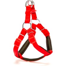Pazarcan Köpek Göğüs Tasması 45CM Small