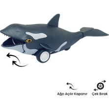 Karahanbey Sürtmeli Hayvanlar Serisi - H-53 - Orka Balina (Lisinya)