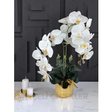PremiumPort Beyaz Islak Orkide 2 Dallı Lüks Gold Metal Saksıda, Masa Üstü Dekor