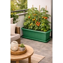 Alezy V692 Villa Bahçe Dış Mekan Saksı 62 Litre