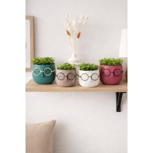 PremiumPort Dekoratif 4’lü Gözlüklü Profesör Çim Adam Yapay Çiçek Seti