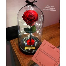 PremiumPort Solmayan Gül Cam Fanusta, Özel Hediye, Sevgililer Günü Için Ideal Seçenek