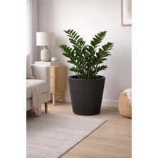 Alezy Luna Model Iç Drenaj Hazneli Modern Saksı 29 Lt (36.8CMX36.4CM)