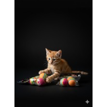 Aslan Petshops 6'lı Renkli Kedi Oyun Topu Seti - 2 Paket x 3 Adet