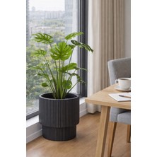 Alezy Vega Model Iç Drenaj Hazneli Dekoratif Modern Saksı 30 Lt