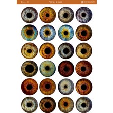 Miray Craft 1 Adet Göz Temalı Sticker Sayfası – Journal & Planner (12×17 Cm)