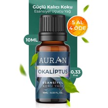 Auran Okaliptus Esansiyel Uçucu Koku Yağı Difüzör Esansı Buhurdanlık Yağı Aromaterapi Yağı 10ML