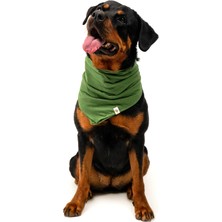 Petizan Köpek Fular - Haki