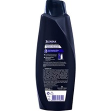 Storemax Blendax Erkekler Için Mentol Ferahlığı Nane Özlü Şampuan, 500 ml