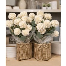 Toleys Dekoratif Yapay Çiçek Buketi – Krem Ponpon Çiçekler Kasımpatı