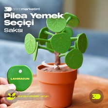 3D Print Marketim Pilea Yemek Seçici Saksı Çiçek
