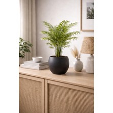 Alezy Küre Model Dekoratif Modern Saksı 7,5 Lt