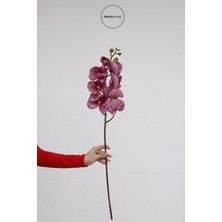 PremiumPort Mor Benekli Jumbo Yapay Orkide Dalı, Doğal Görüntüsüyle Dekorasyon Şıklığı