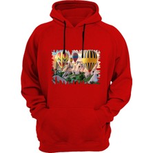 Widi Balon Baskılı Kırmızı Sweatshirt