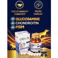 Clovit Köpek Glucorun Glukozamin Takviyesi – Eklem ve Iskelet Desteği 90 Tablet