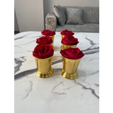 PremiumPort Altıli Gold Sunumluk ve Gül Kovası Seti, Şık ve Zarif Tasarım