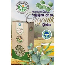 Anadolunun Özü Okaliptüs Çayı | Ferahlatıcı Etki • Soğuk Günlerde Nefes Açıcı | Organik